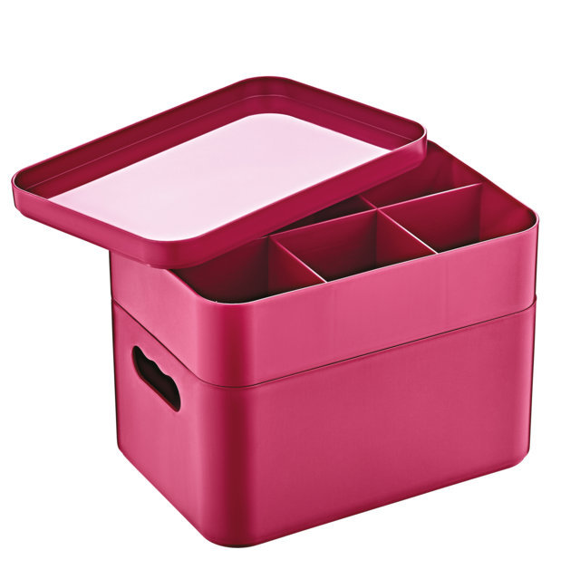 Herzberg HG-OKY676: Scatola organizer multiuso a 2 strati Rosa